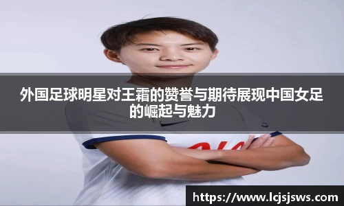 盛世国际网站入口